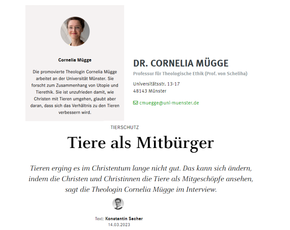 Münster.png