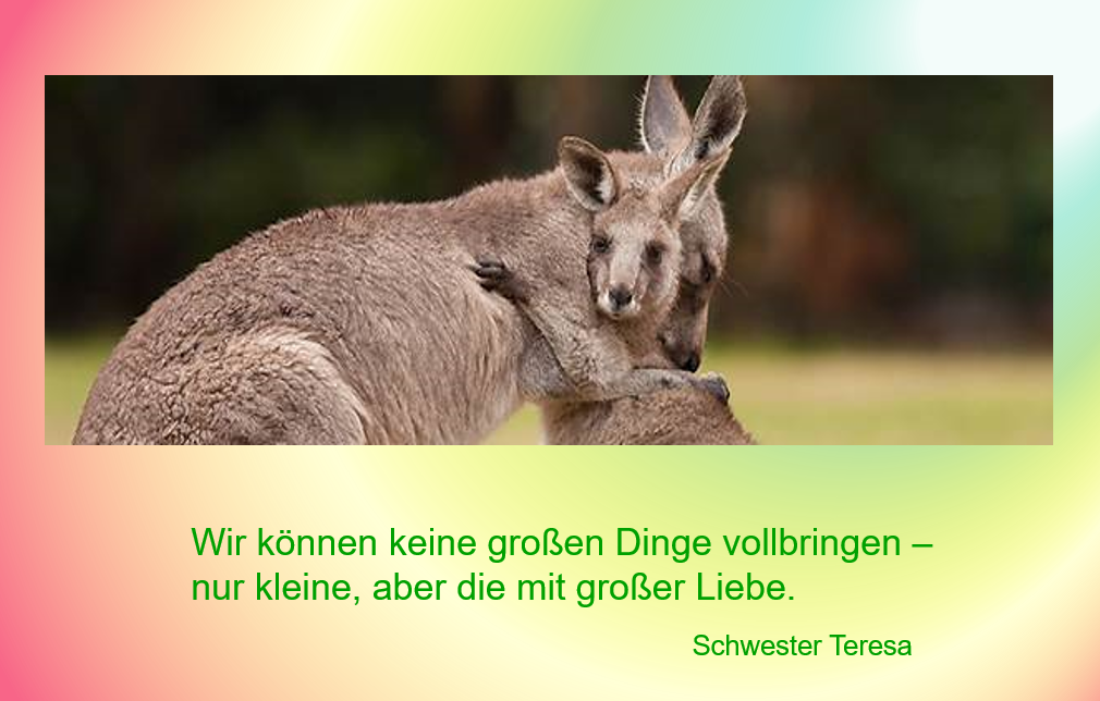 Wir_können_keine_großen_Dinge.png